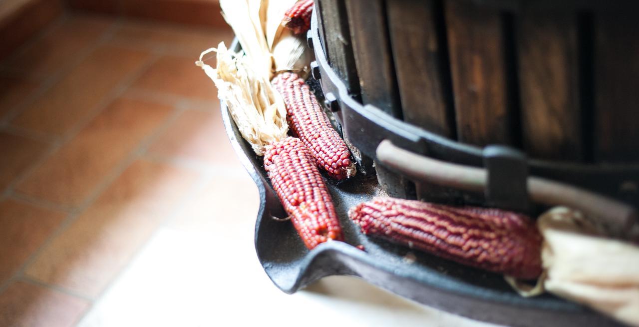 Agriturismo Principe Pio Βίλα Crespino Εξωτερικό φωτογραφία